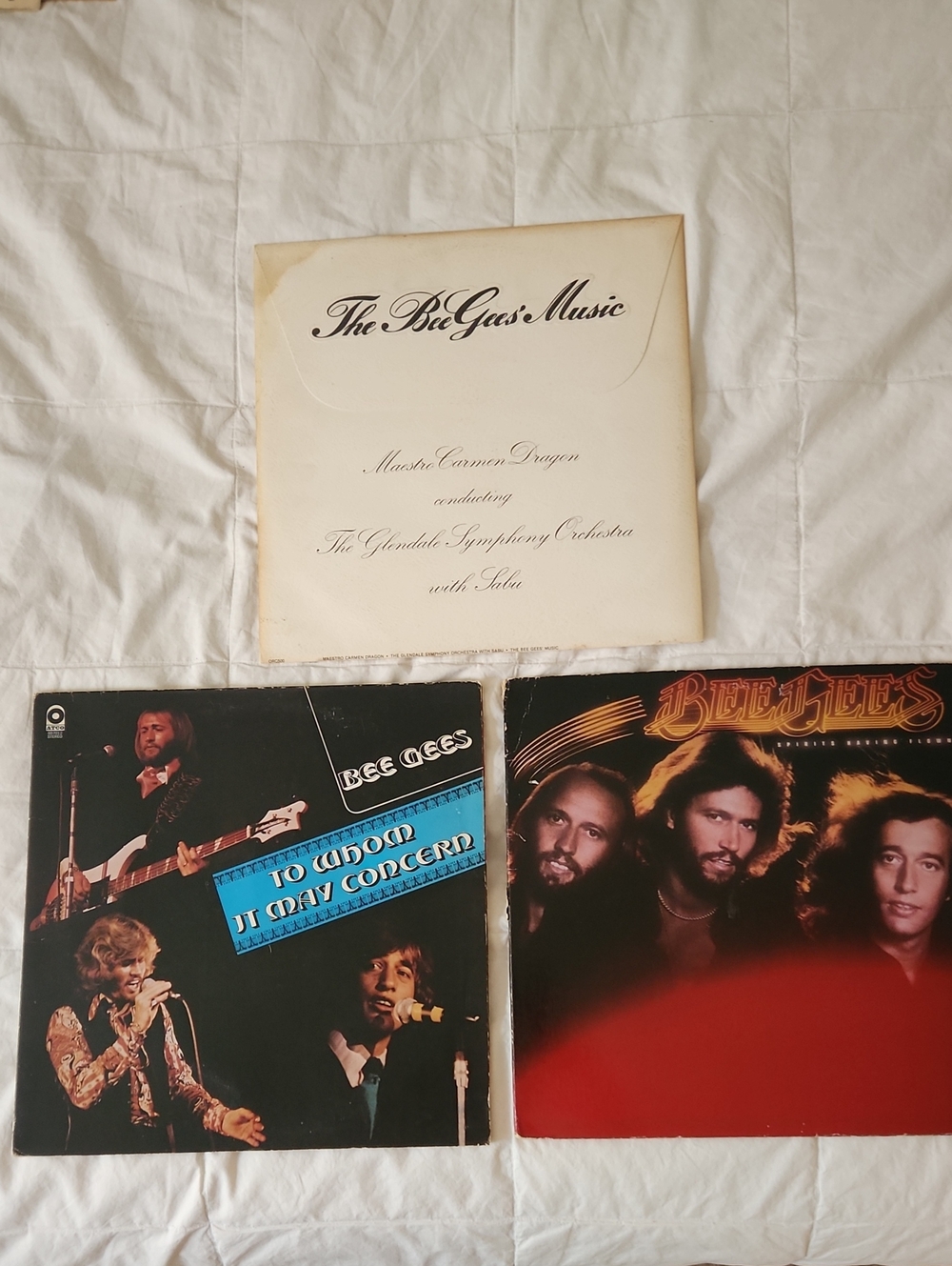 Bee Gees Vinyl Record Lot - Multiple Album Covers (White, Black, Red)